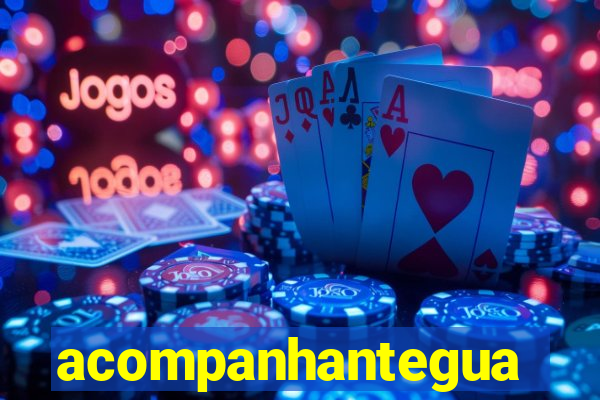 acompanhanteguanambi