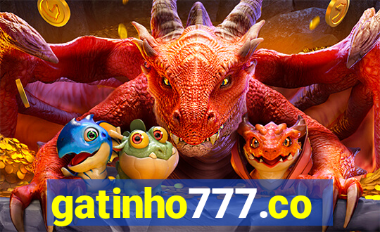 gatinho777.co