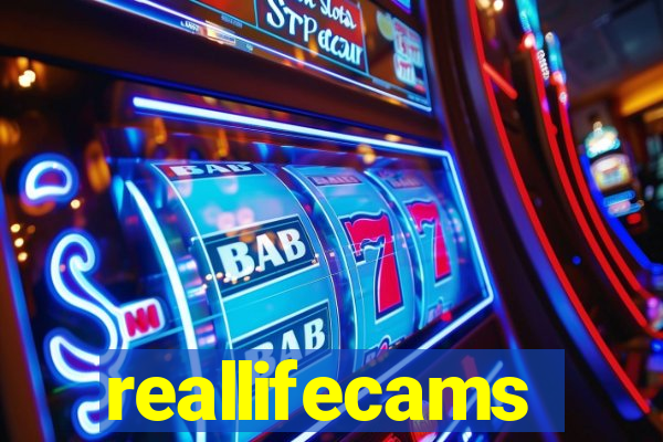 reallifecams