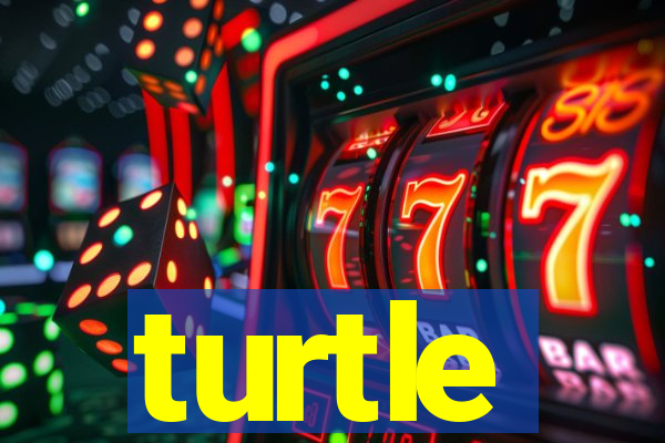 turtle-ty.com