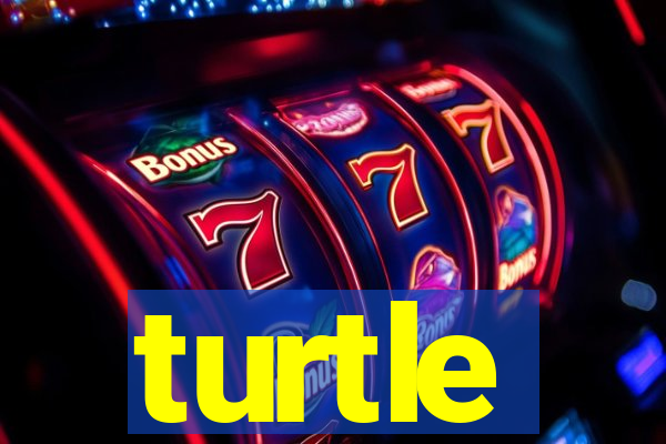 turtle-ty.com