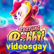 videosgay