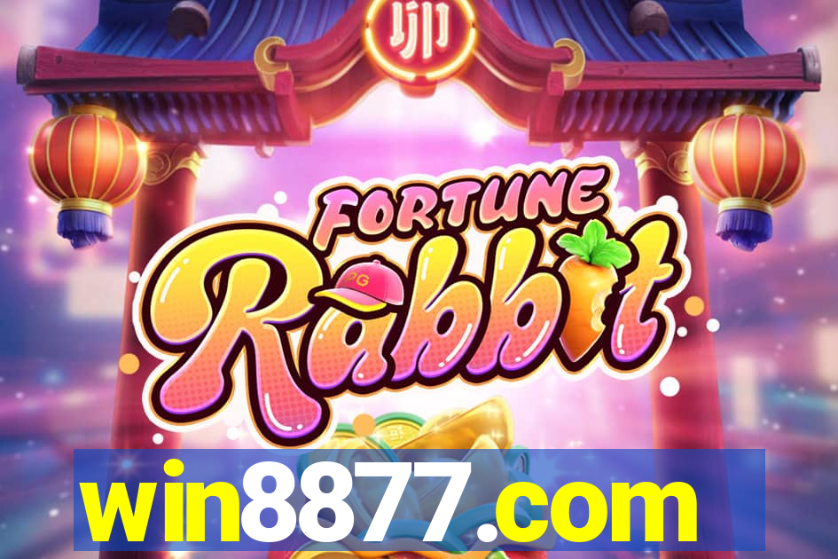 win8877.com