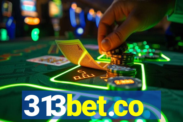 313bet.co