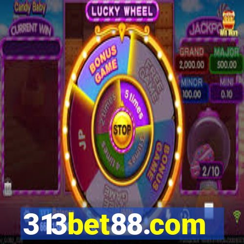 313bet88.com