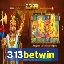 313betwin