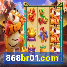 868br01.com