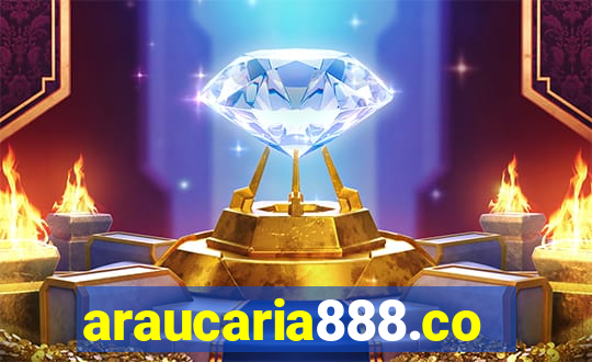 araucaria888.com