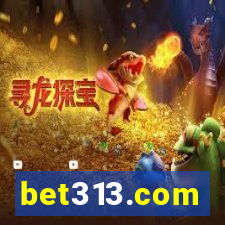bet313.com
