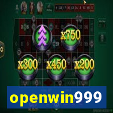openwin999