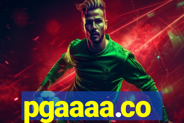 pgaaaa.co