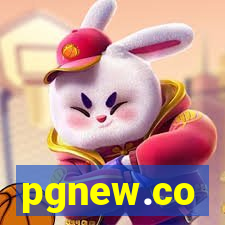 pgnew.co