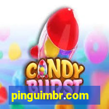pinguimbr.com