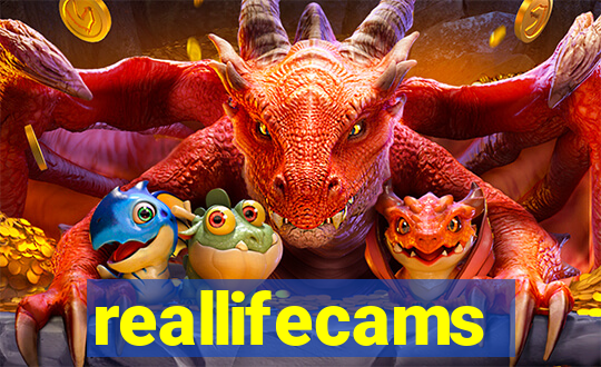 reallifecams