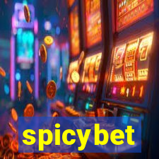 spicybet-1.com
