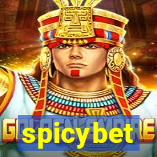 spicybet-1.com