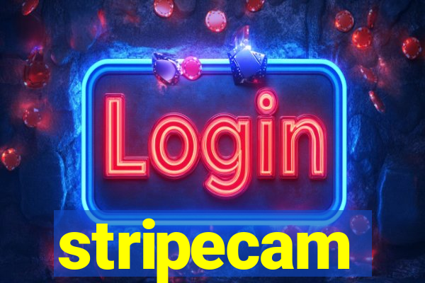 stripecam