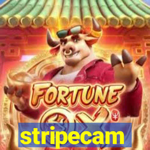 stripecam