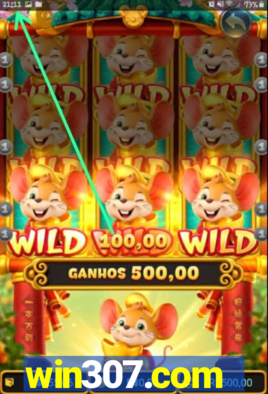 win307.com