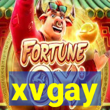 xvgay