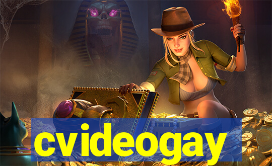 cvideogay