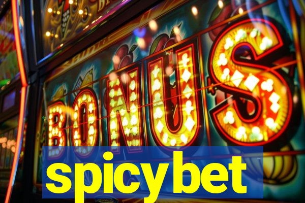 spicybet-2.com
