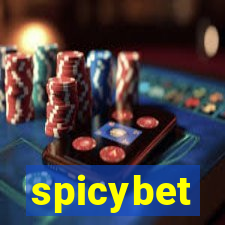 spicybet-5.com